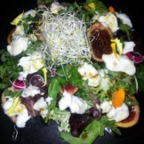 Fig and Goats Cheese Salad